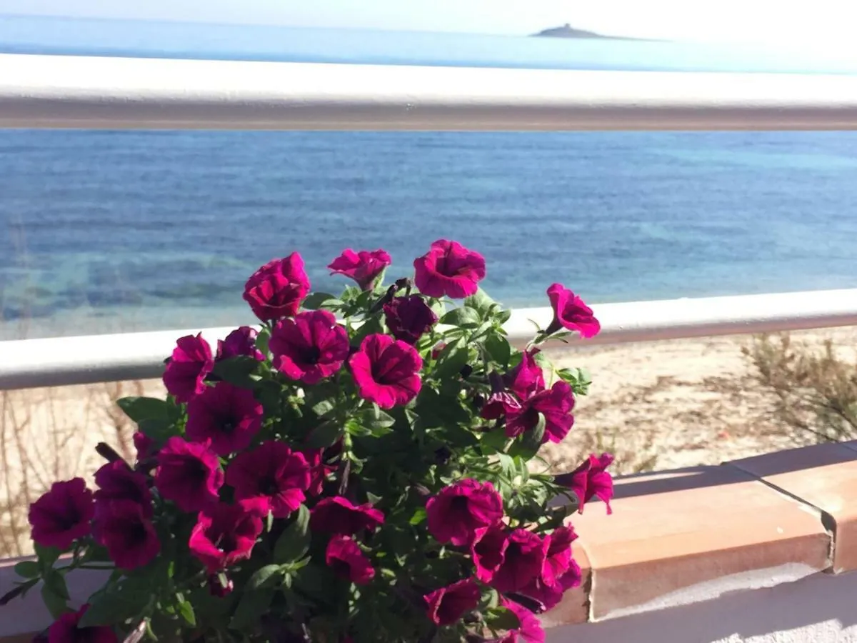A Casa Di Giuseppe 2 Bed & Breakfast Carini İtalya